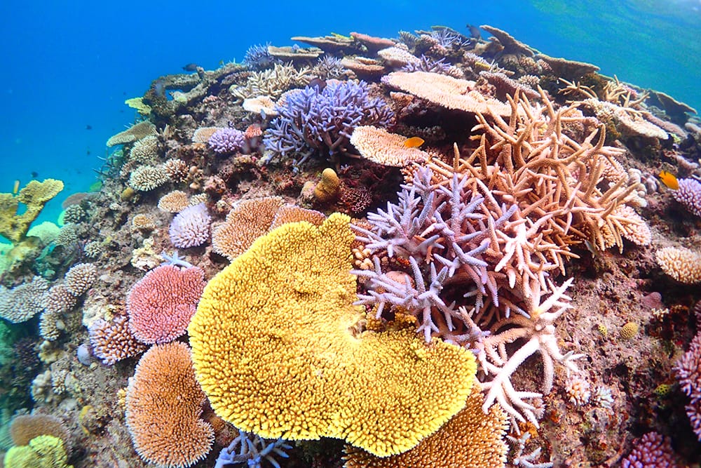 新しいタイプの名水「海人ぬ宝」